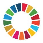 SDG's Logo