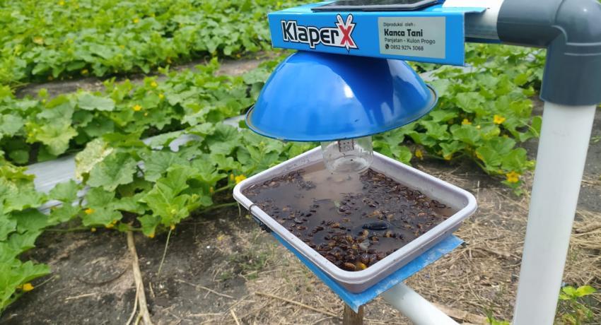 Light Trap Insect: An Eco-Friendly Solution for Agricultural Pest Control