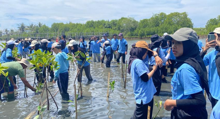 UNY Plants Mangroves at Mendit Beach, Kulon Progo, Supporting the SDGs and UI GreenMetric