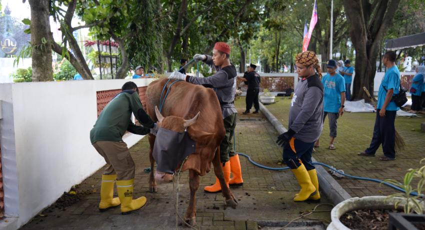Qurban Sacrifice as Religious and Social  Meaningful Campus Service