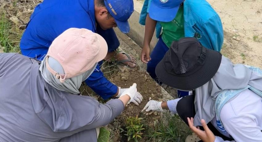 Humanitarian KKN Students Collaborate to Green Seuneubok Aceh, Plant 60 Pucuk Merah Trees After Flood